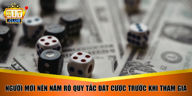 Người mới nên nắm rõ quy tắc đặt cược trước khi tham gia